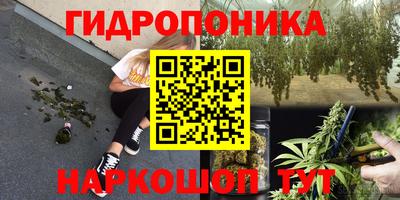 бошки Жуковский