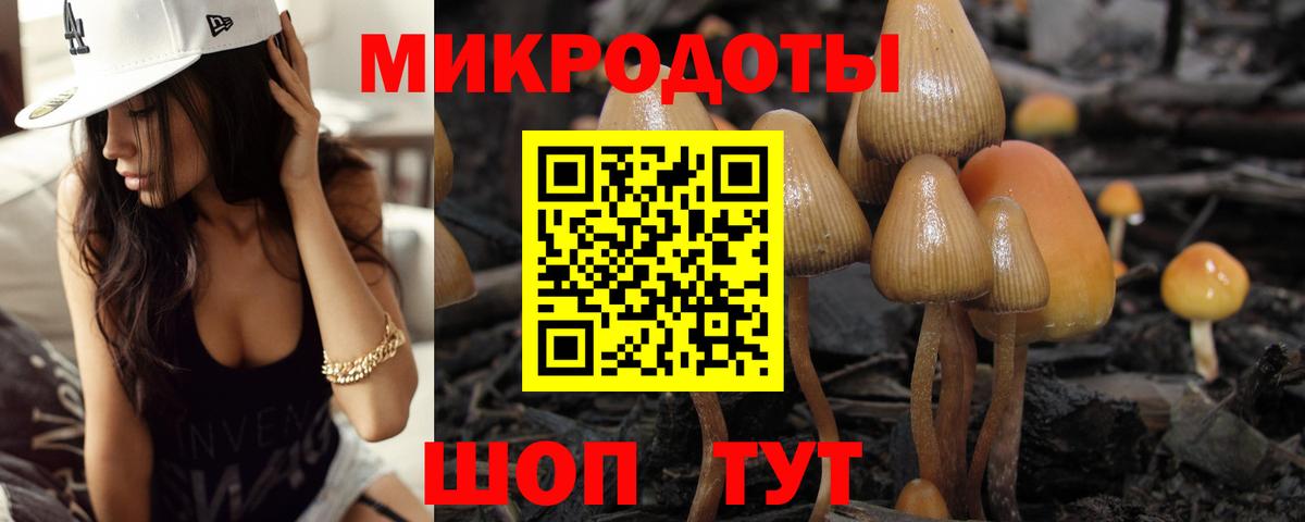 Псилоцибиновые грибы прущие грибы Кимры